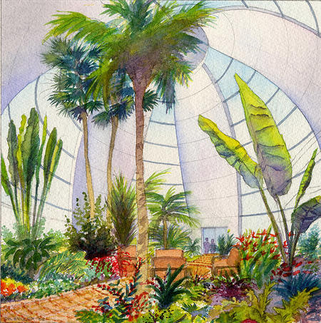 MEDICI (PROJECT) | PACIFIC NORTHWEST